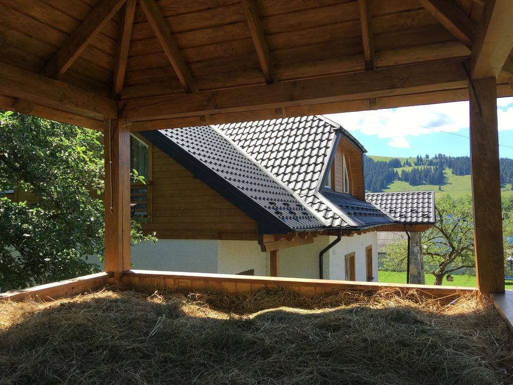 Cottage Familiya Verkhovyna Buitenkant foto